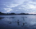 PIC00032.htm