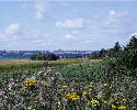 PIC00036.htm